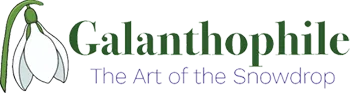 Galanthophile logo